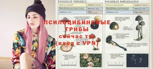 трава Инсар